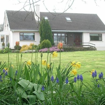 Glen Na Smole Bed & Breakfast Wicklow Dış mekan fotoğraf