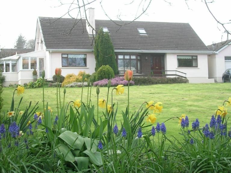 Glen Na Smole Bed & Breakfast Wicklow Dış mekan fotoğraf