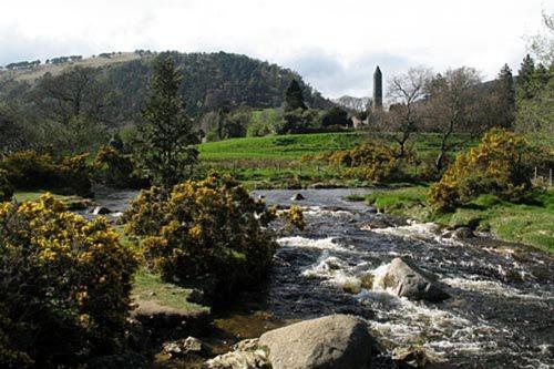 Glen Na Smole Bed & Breakfast Wicklow Dış mekan fotoğraf